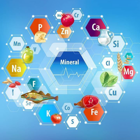 Your body relies on minerals it cannot produce on its own – Nutri Intact