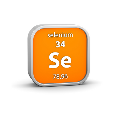 Selenium: Small in dose, big in impact — Nutri Intact