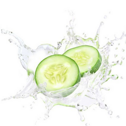 A splash of hydration in every bite. Nourish from the inside out with water-rich foods – Nutri Intact.